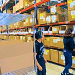 High Impact Ways To Optimize Your Shipping Operations: Empower Your Team, Exceed Expectations, And Transform Challenges Into Opportunities