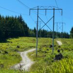 Energy In The Supply Chain Is No Longer An Overhead Issue